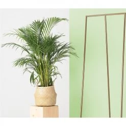 Custom Form Portemanteaux Et Patères Porte-manteaux Métal Or 60x60x175cm -Meubles de cuisine Soldes porte manteaux metal or 60x60x175cm 5